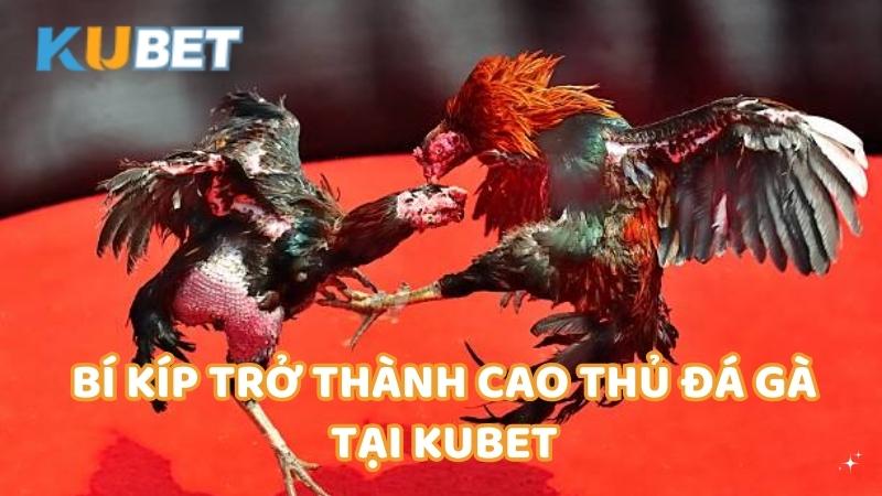 Bi Kip Tro Thanh Cao Thu Da Ga Tai Kubet