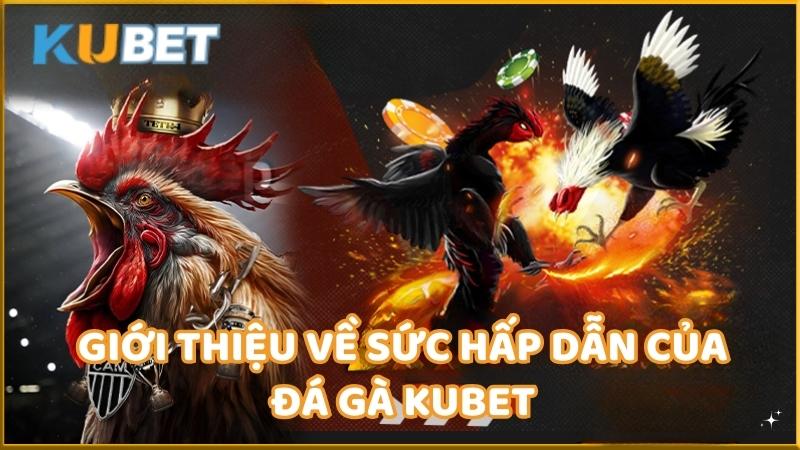 Gioi Thieu Ve Suc Hap Dan Cua Da Ga Kubet