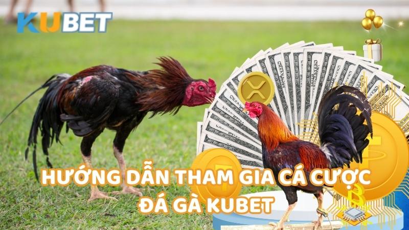 Huong Dan Tham Gia Ca Cuoc Da Ga Kubet