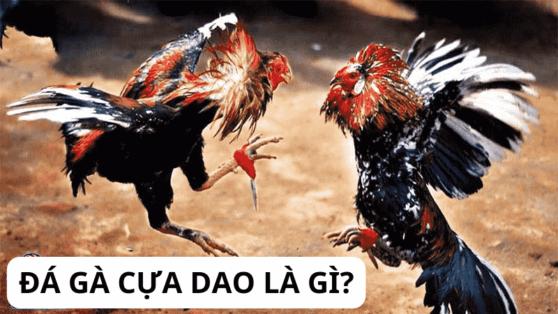 da-ga-cua-dao-khoc-liet