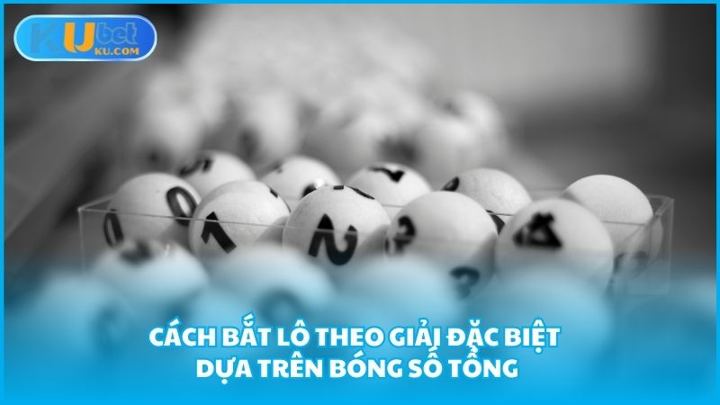 Cach Bat Lo Theo Giai Dac Biet Dua Tren Bong So Tong